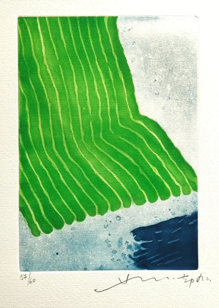 飞尘腐蚀法 Chin - Verso il giardino eterno