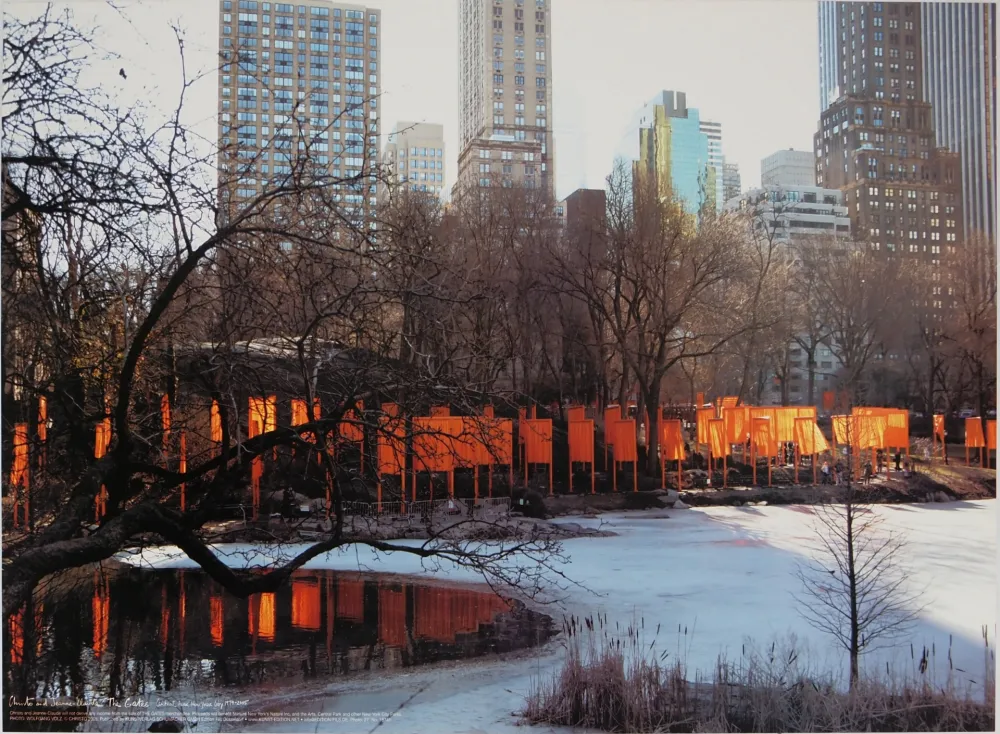 海报 Christo - Gates near Frozen Lake, Central Park New York