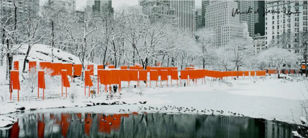 摄影 Christo - The Gates Skyline in the snow