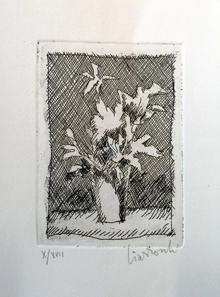 蚀刻版画 Ciarrocchi - Fiori
