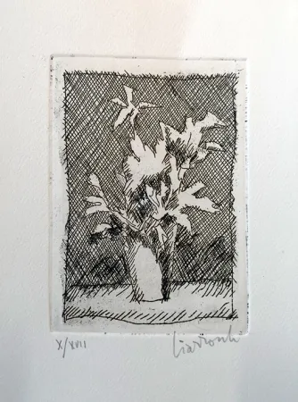 蚀刻版画 Ciarrocchi - Fiori