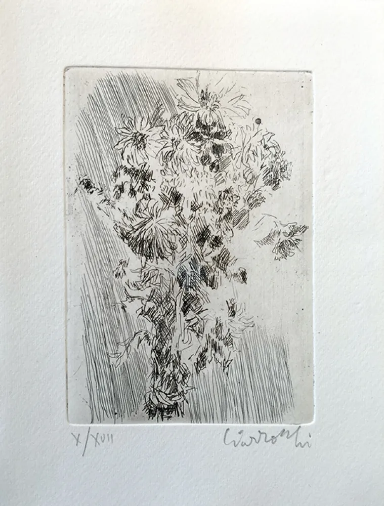 蚀刻版画 Ciarrocchi - Mazzo di fiori