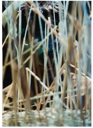 摄影 Cindy - Untitled (from The Portfolio for Joseph Beuys)