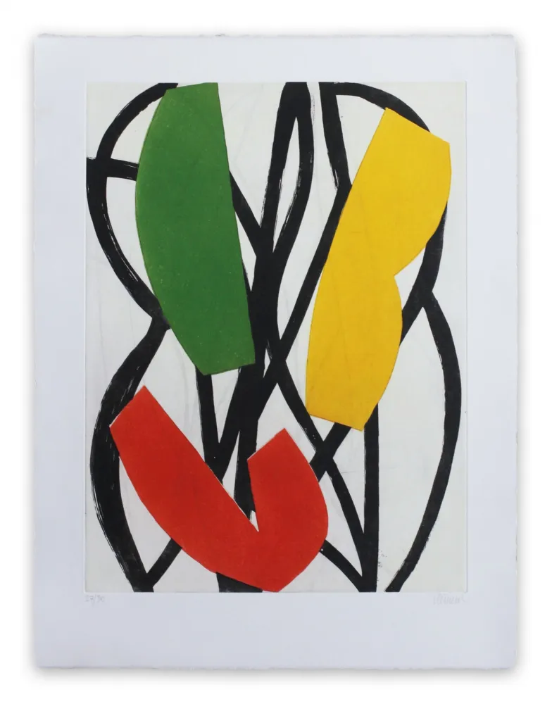 飞尘腐蚀法 Clement - 13F5G-2013