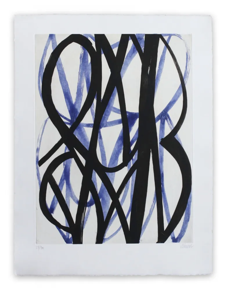 飞尘腐蚀法 Clement - 13F6G-2013