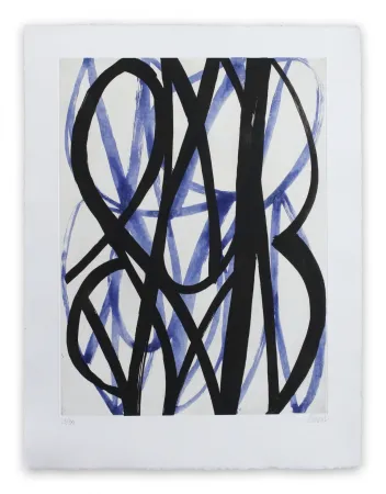 飞尘腐蚀法 Clement - 13F6G-2013