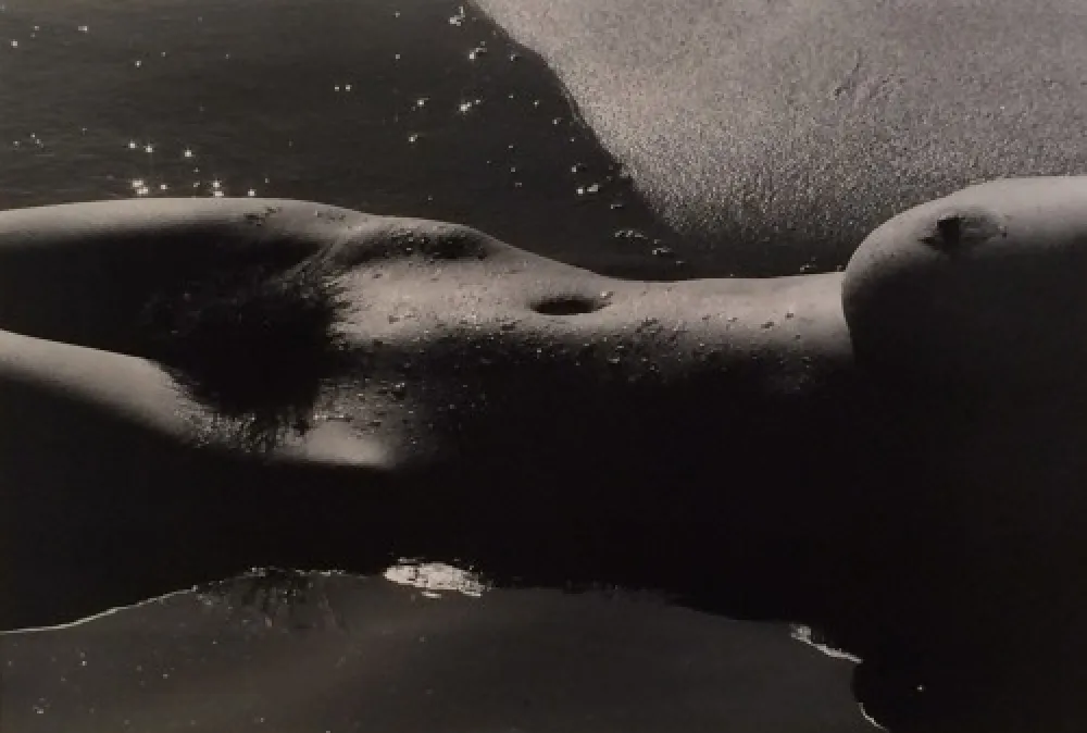 摄影 Clergue - Nyu de la Mer Camargue
