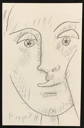无技术 Cocteau - Face Drawing