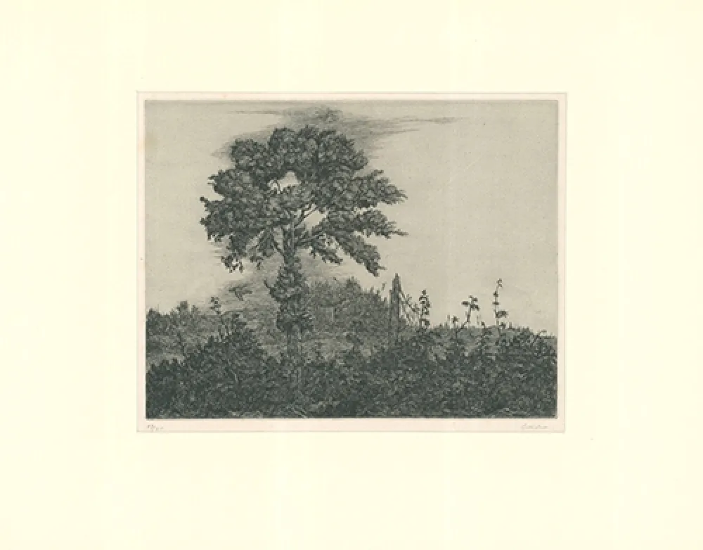 版画 Coester - Einzelner Baum