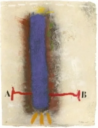 金刚砂版画 Coignard - 1112 Verticlite Bleue