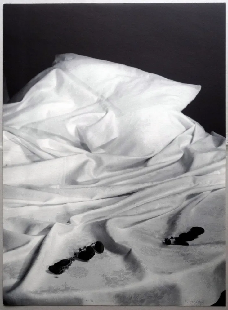 石版画 Collins - A.L. Joan Prats - Formigues