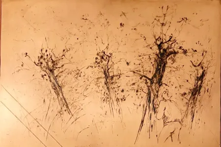 无技术 Commère - Chasseur à l'affût