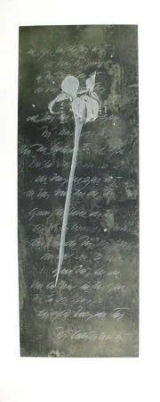 蚀刻飞尘法 Conte - El lenguaje de las flores I