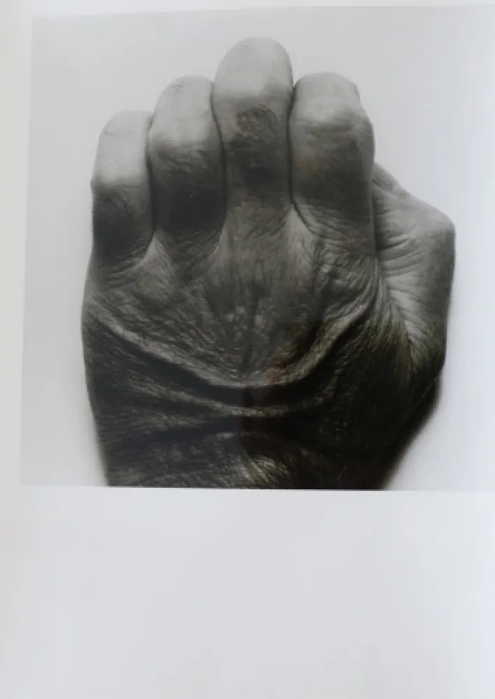 摄影 Coplans - Selfportrait back of hand