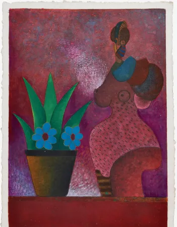 无技术 Cora - La Jardinera