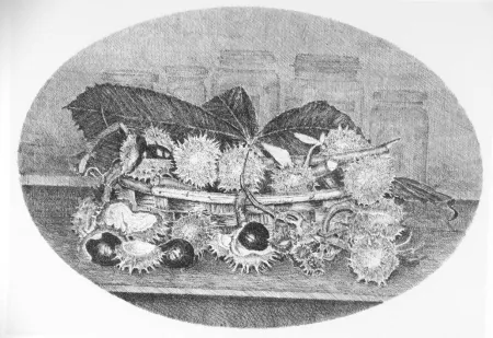 蚀刻版画 Cotugno  - Cestino