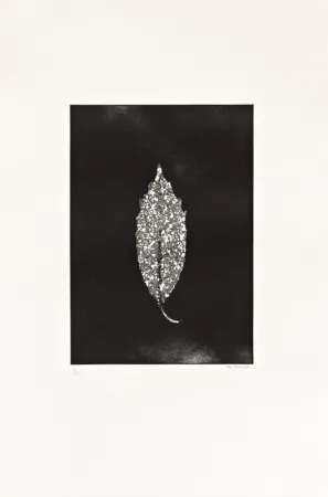 蚀刻版画 Couturier - Aucuba