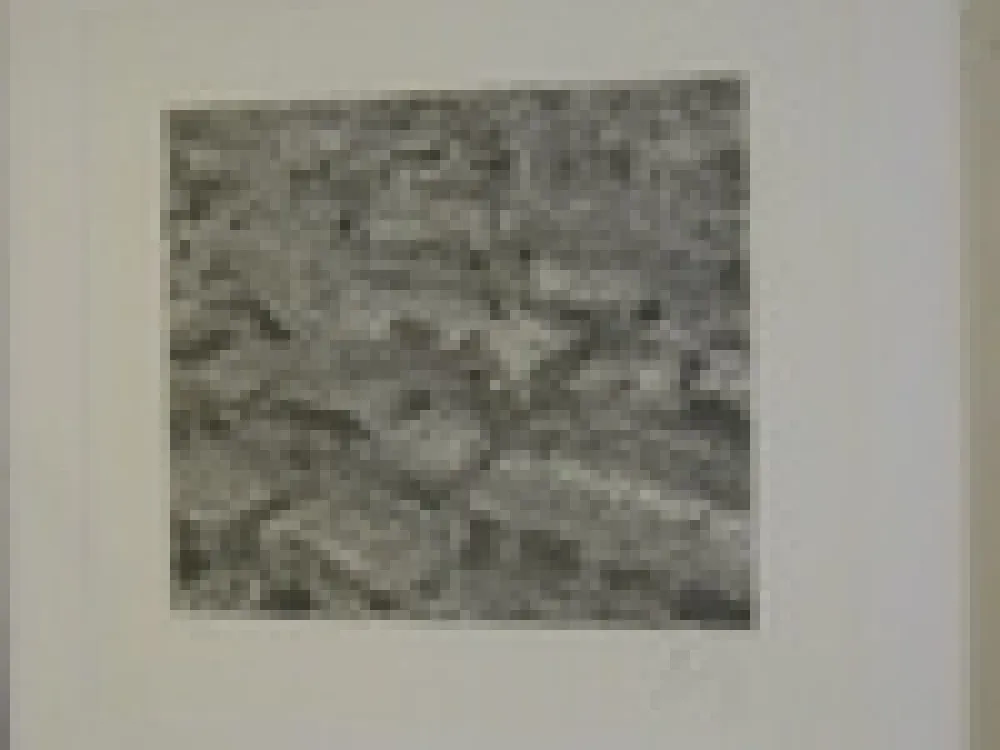 版画 Cragg - Traffic