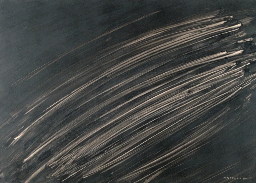 无技术 Criton - Technique mixte sur papier marouflée sur toile. 