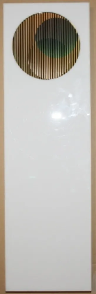 复数作品 Cruz-Diez - Chromointerference pancho 1