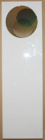 复数作品 Cruz-Diez - Chromointerference pancho 1