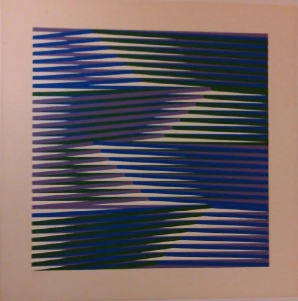 丝网印刷 Cruz-Diez - Composition 