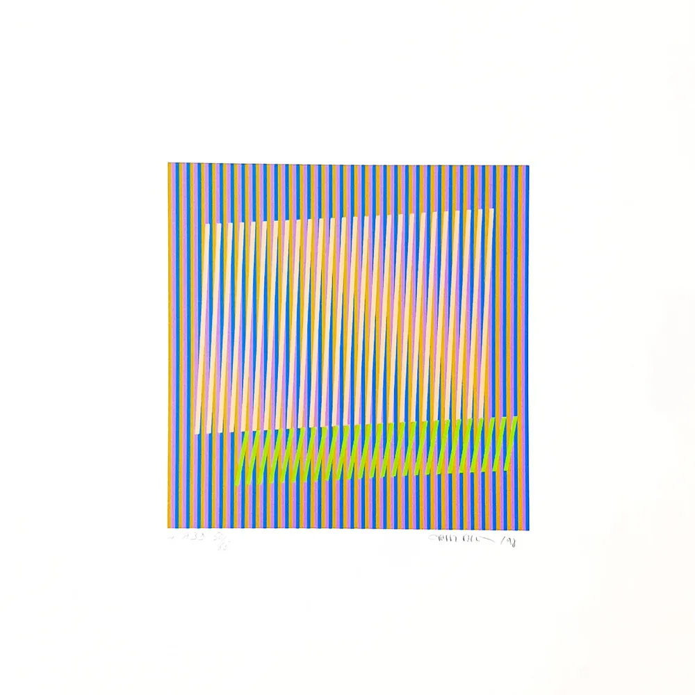 丝网印刷 Cruz-Diez - Induction chromatique