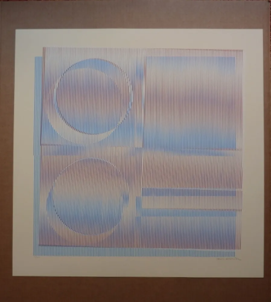 丝网印刷 Cruz-Diez - Physichromie