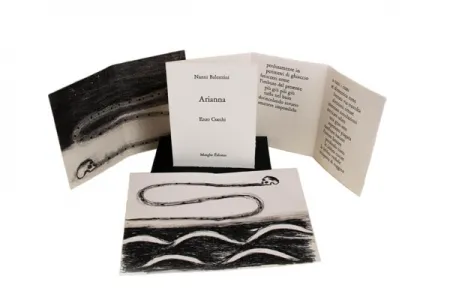 插图书 Cucchi - Arianna