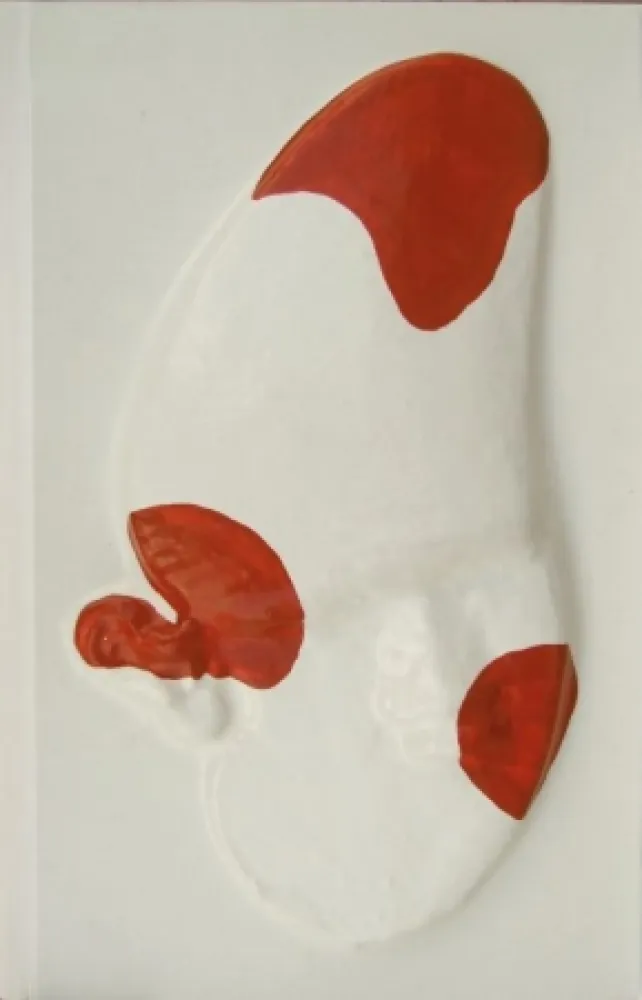 插图书 Cucchi - La grande scimmia