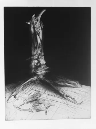 版画 Dado - Sans titre