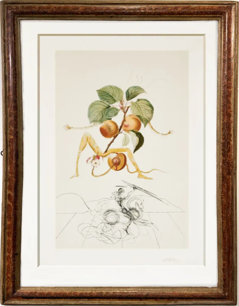 凸版印刷 Dali - Apricot  et chevalier