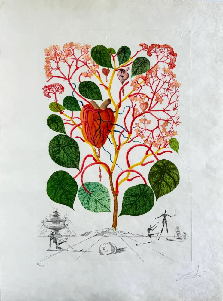 干刻版画 Dali - Begonia (Anacardium recordans)