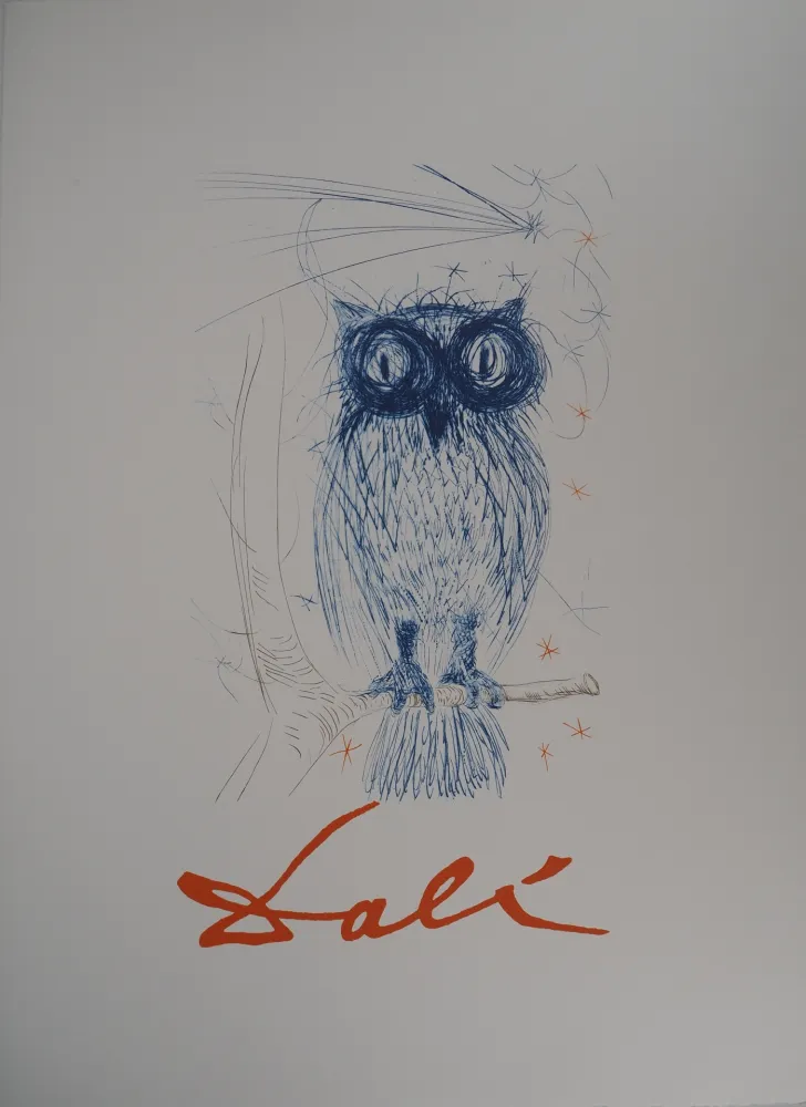 石版画 Dali - Chouette bleue
