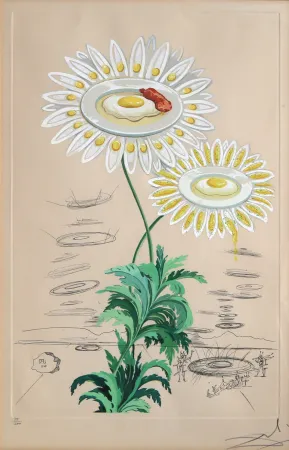 版画 Dali - Chrysanthemum Frutescens