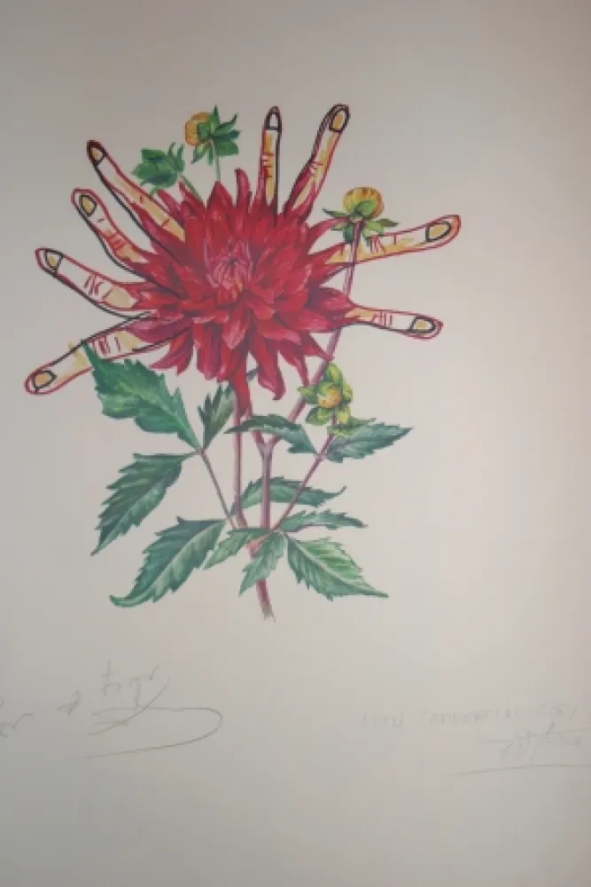 石版画 Dali - Dahlias of Dalí (surrealistic flowers)