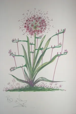 石版画 Dali -  Desert Cactus (surrealistic flowers)