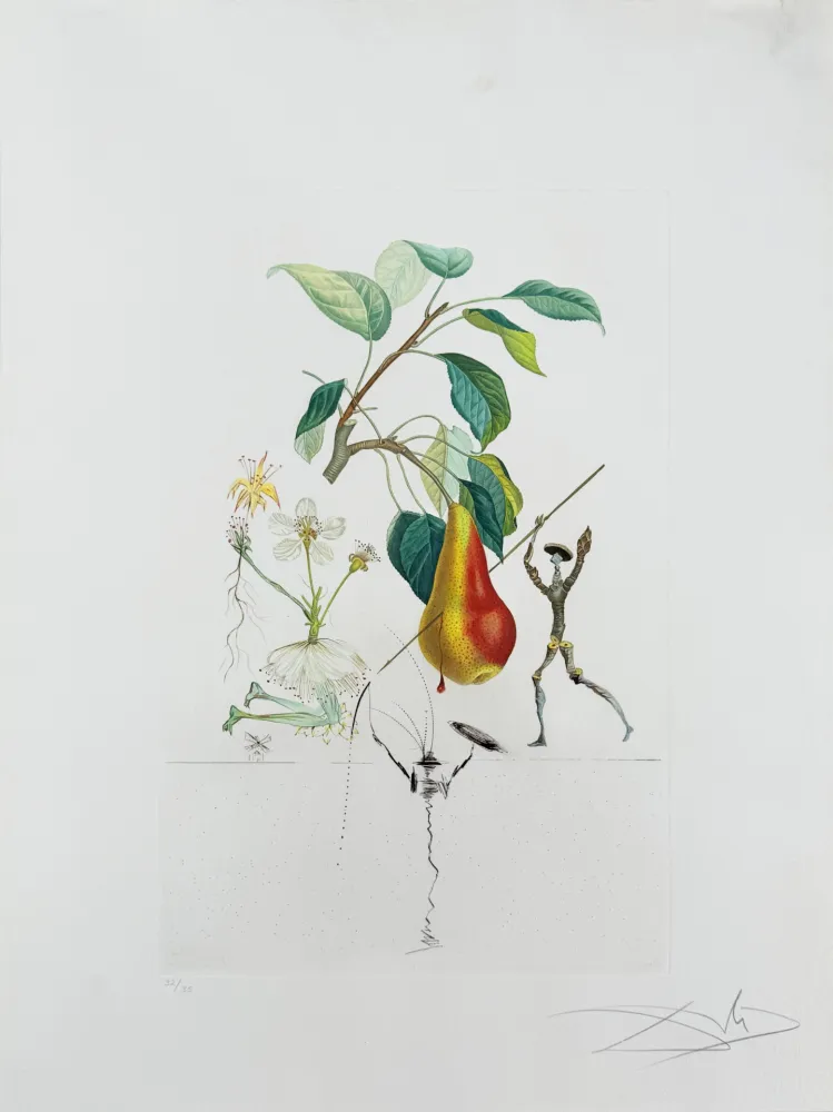 石版画 Dali - Don Quixote Pear from Flordali suite