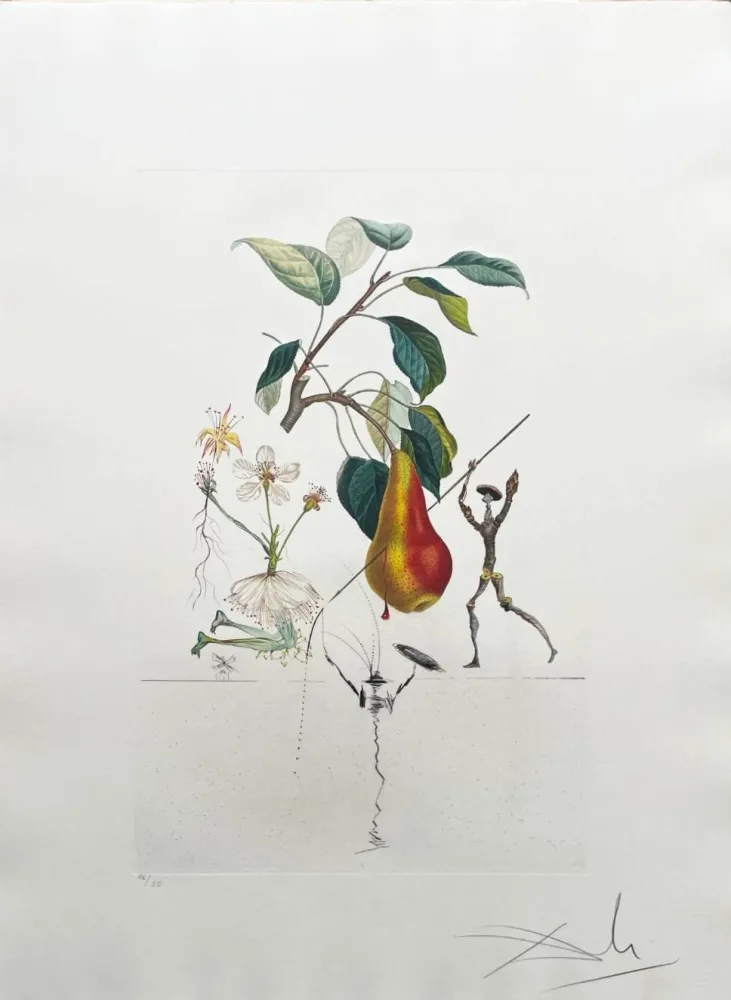 石版画 Dali - Don Quixote Pear from Flordali suite