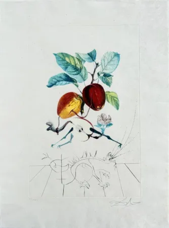 石版画 Dali - Dragon Apple from Flordali suite