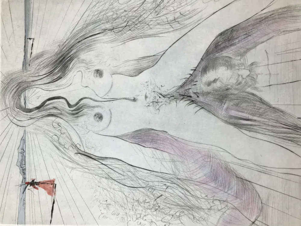 复数作品 Dali - Femme à cheval (women on Horseback )