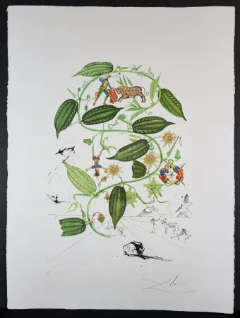 版画 Dali - Flora Dalinae Passionflower
