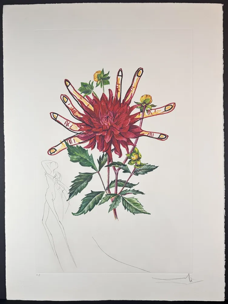 版画 Dali - Florals Dahlia (+ Fingers) Venus