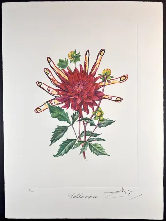 版画 Dali - Florals Dahlias of Dali