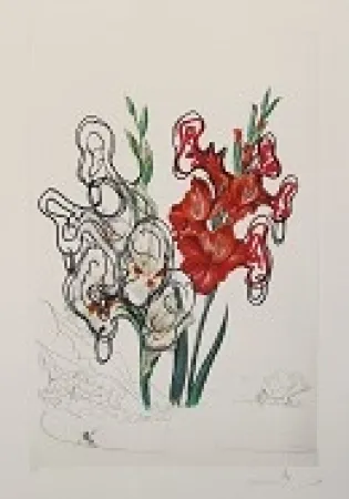 石版画 Dali -  Florals; Gladiolus [ + EARS ] Custa Brava 1972