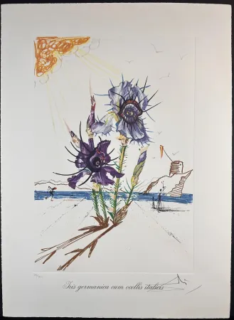 石版画 Dali - Florals Iris of Dali's Youth