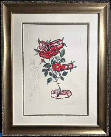 版画 Dali - Florals Rose