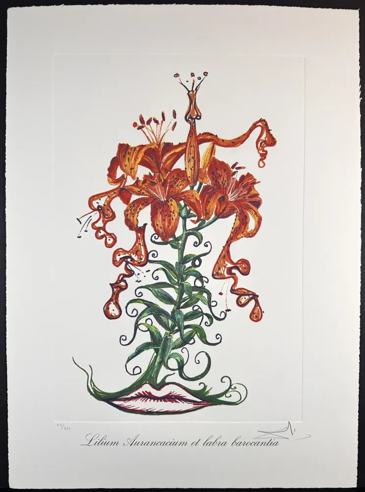 版画 Dali - Florals Tiger Lilies of The Theatre