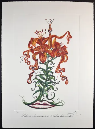 版画 Dali - Florals Tiger Lilies of The Theatre
