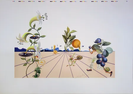 石版画 Dali - Flordali